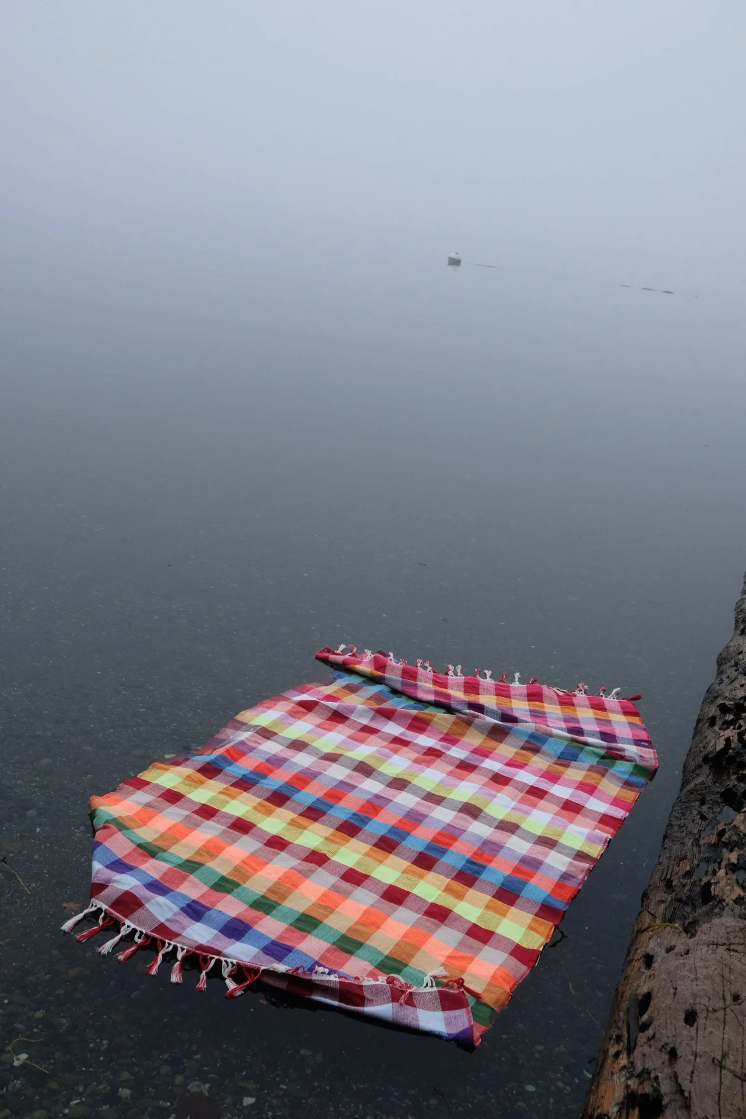 BC3F325B-E90D-43F1-9804-C1CBF2EF048E