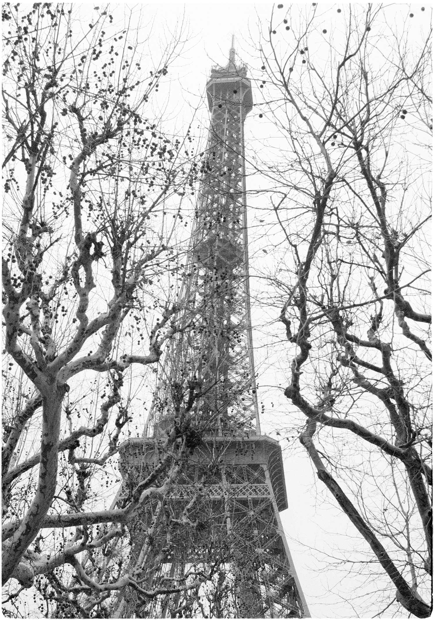Eifel-Tower-web.jpg