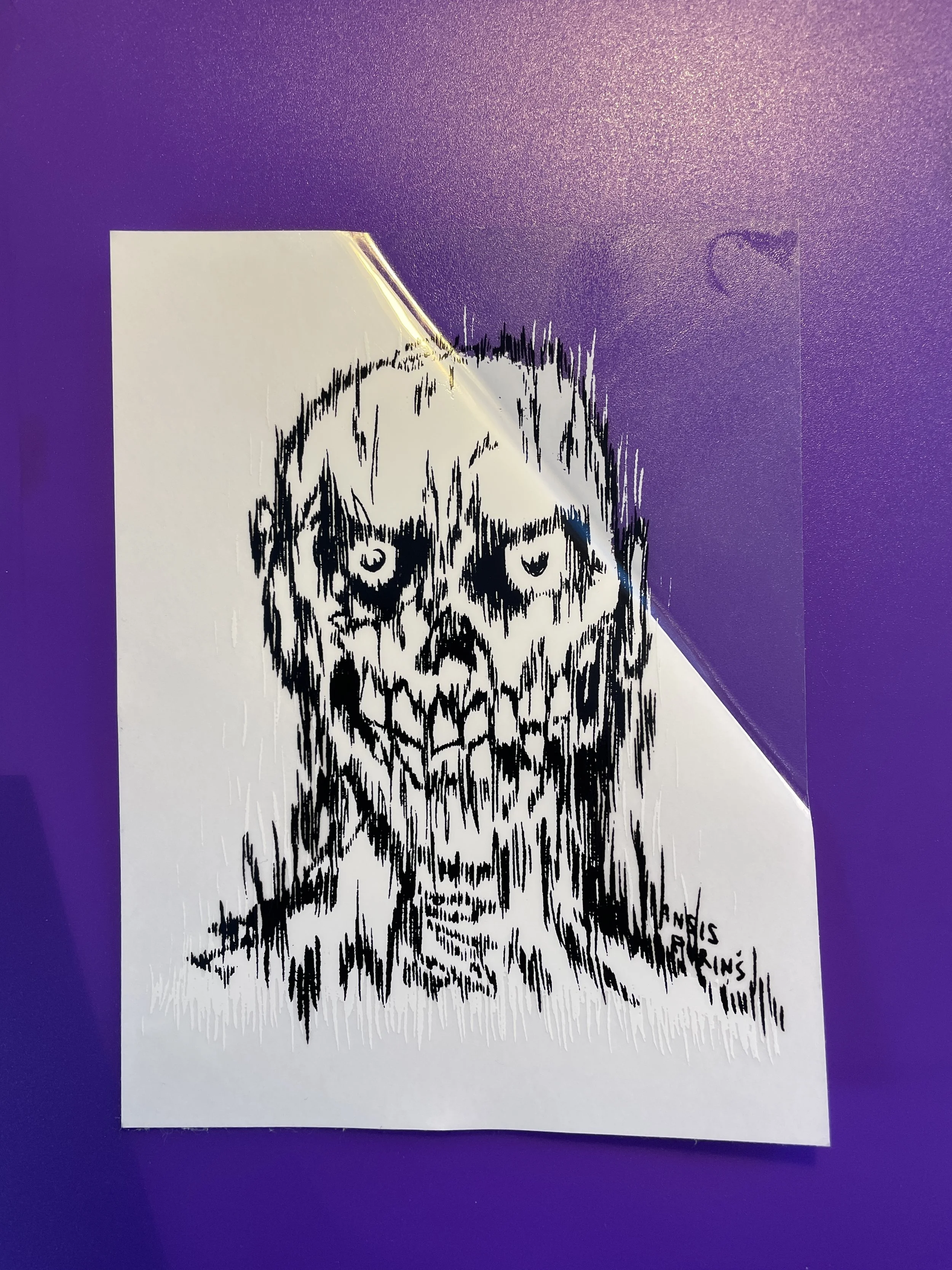 2 COLOR CLEAR BACK SKULL.JPG