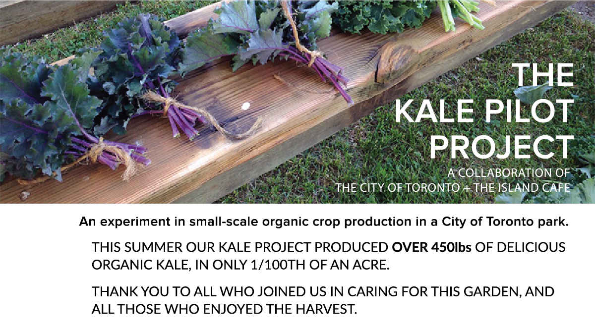 kale project fall.png