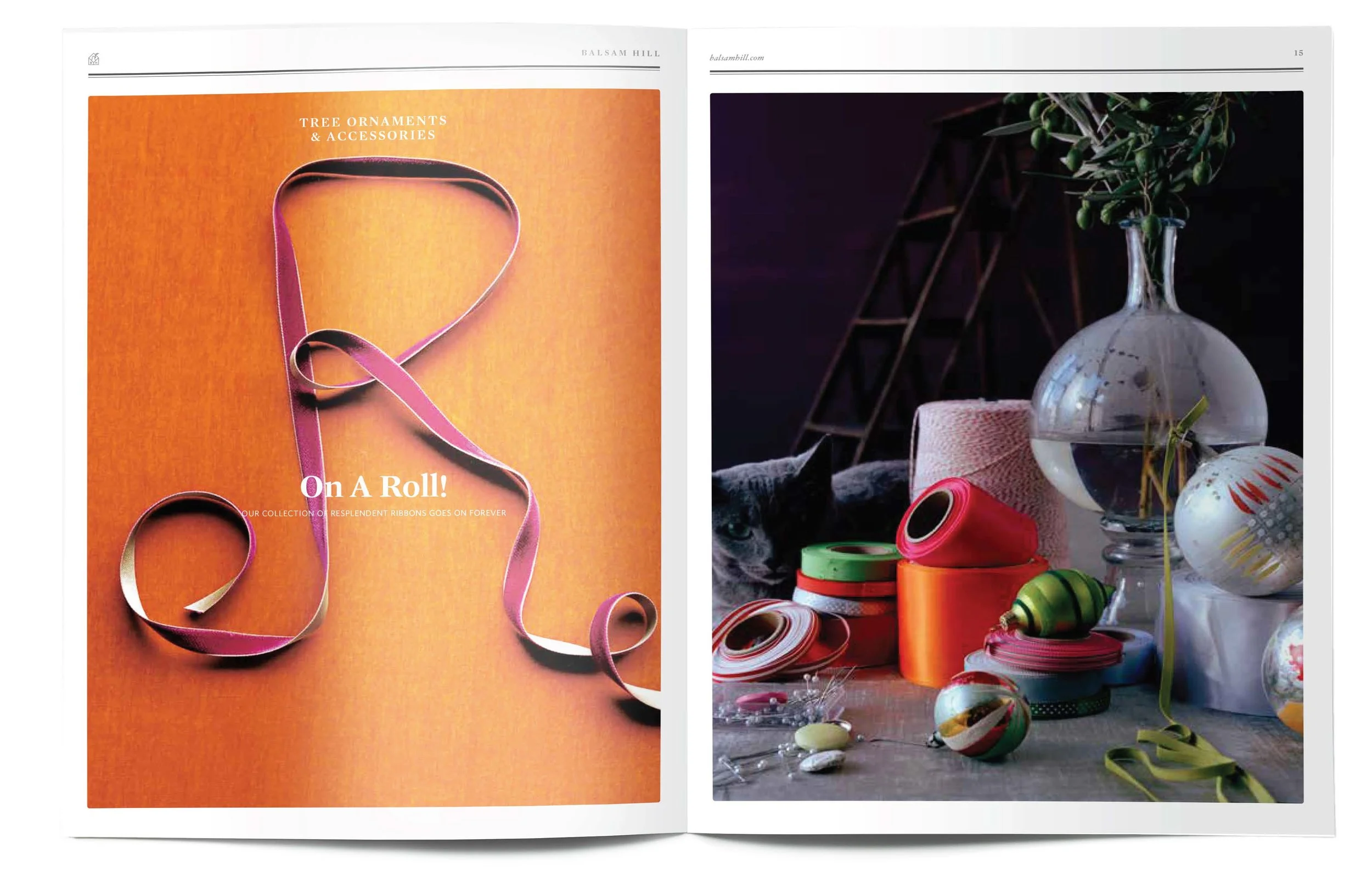 BH, Identity, Catalog, Website Presentation_final_Page_37.jpg