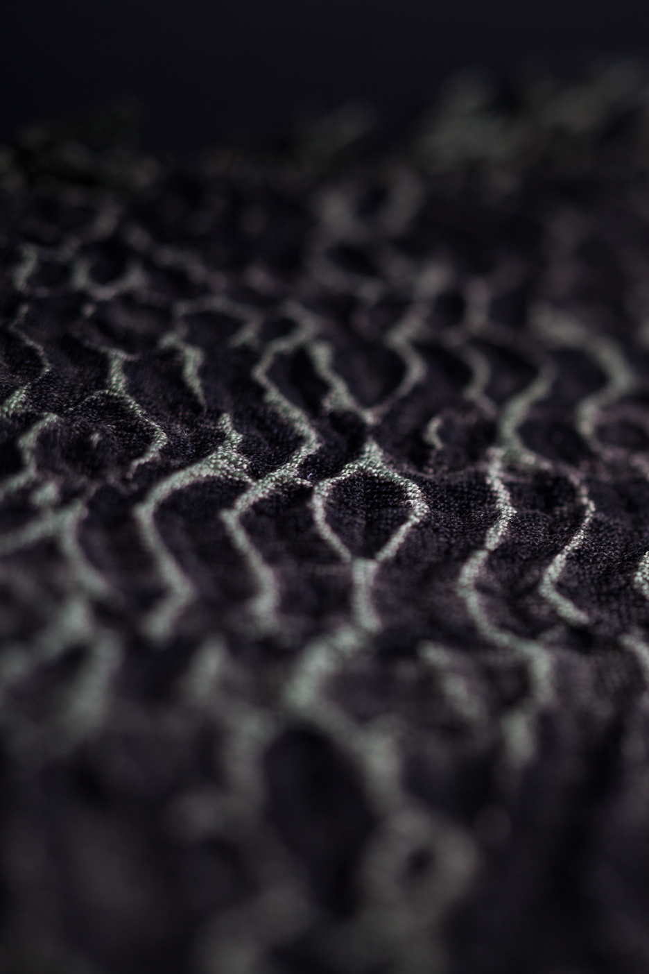 Nocturnal, Detail