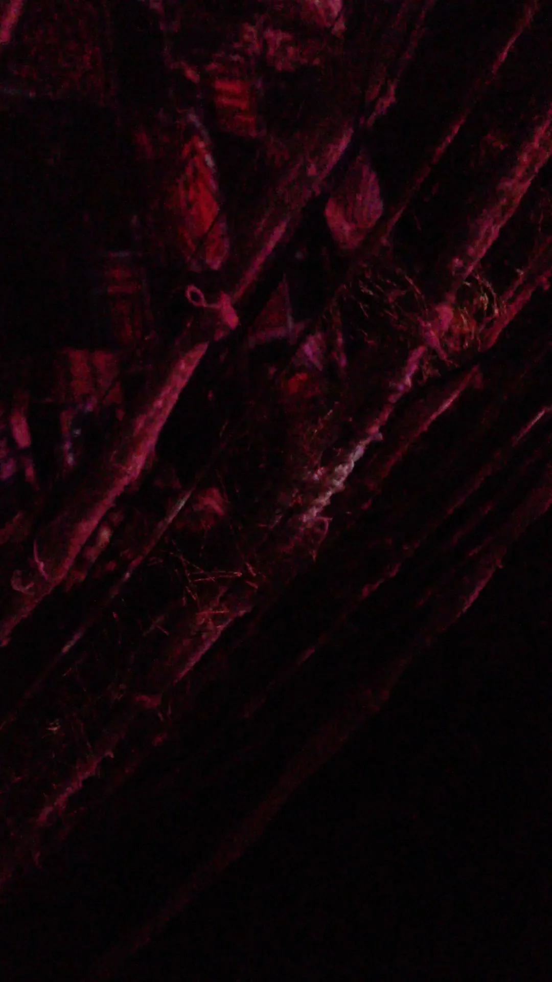 nightweave2still3.jpg