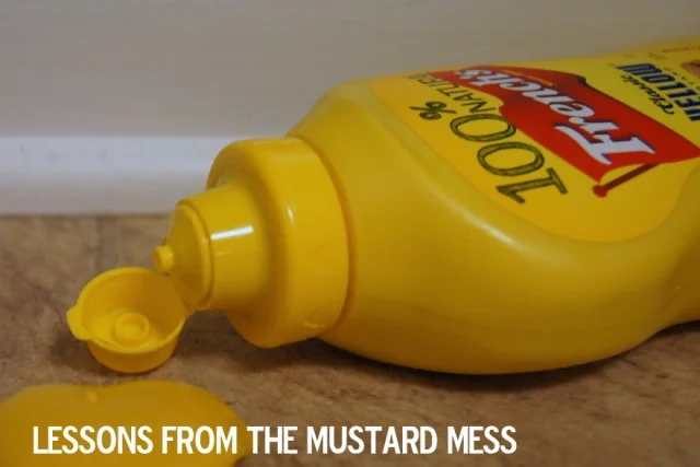 Lessons from the Mustard Mess { What To Do With Your Anger }