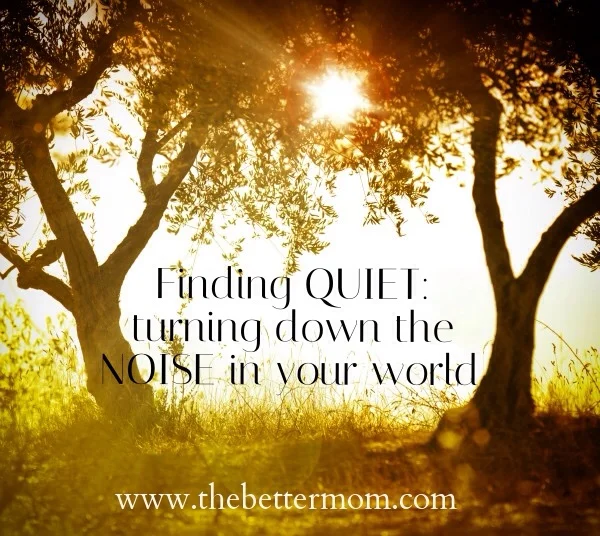 Finding Quiet: Turning Down the Noise in Your World