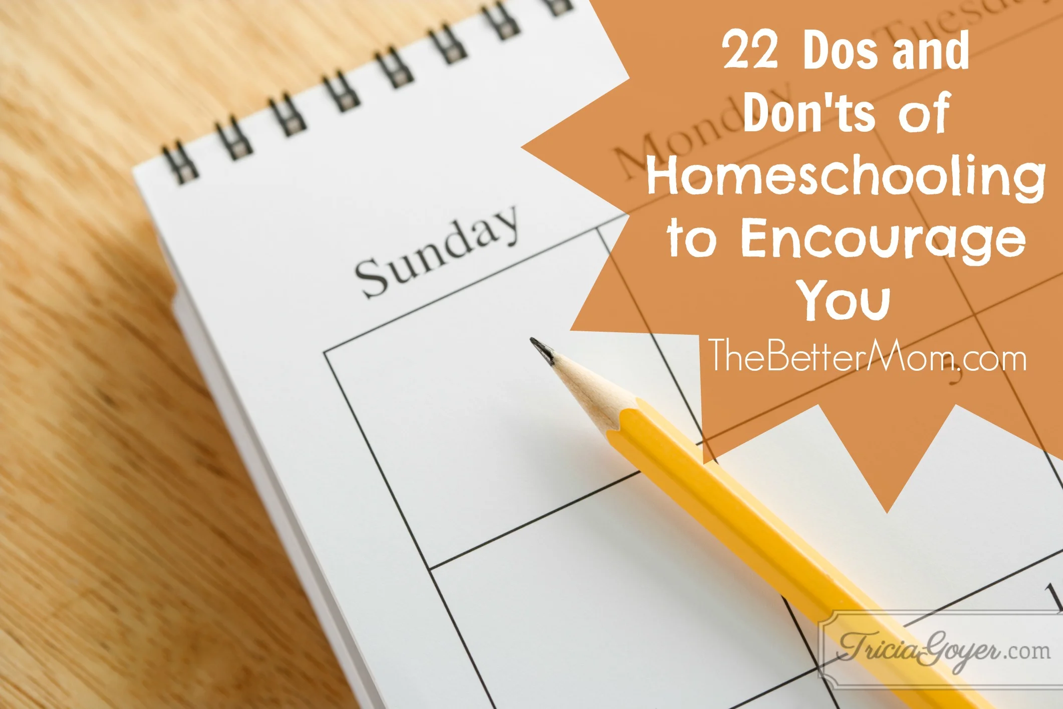Dos and Don'ts of Homeschooling to Encourage You