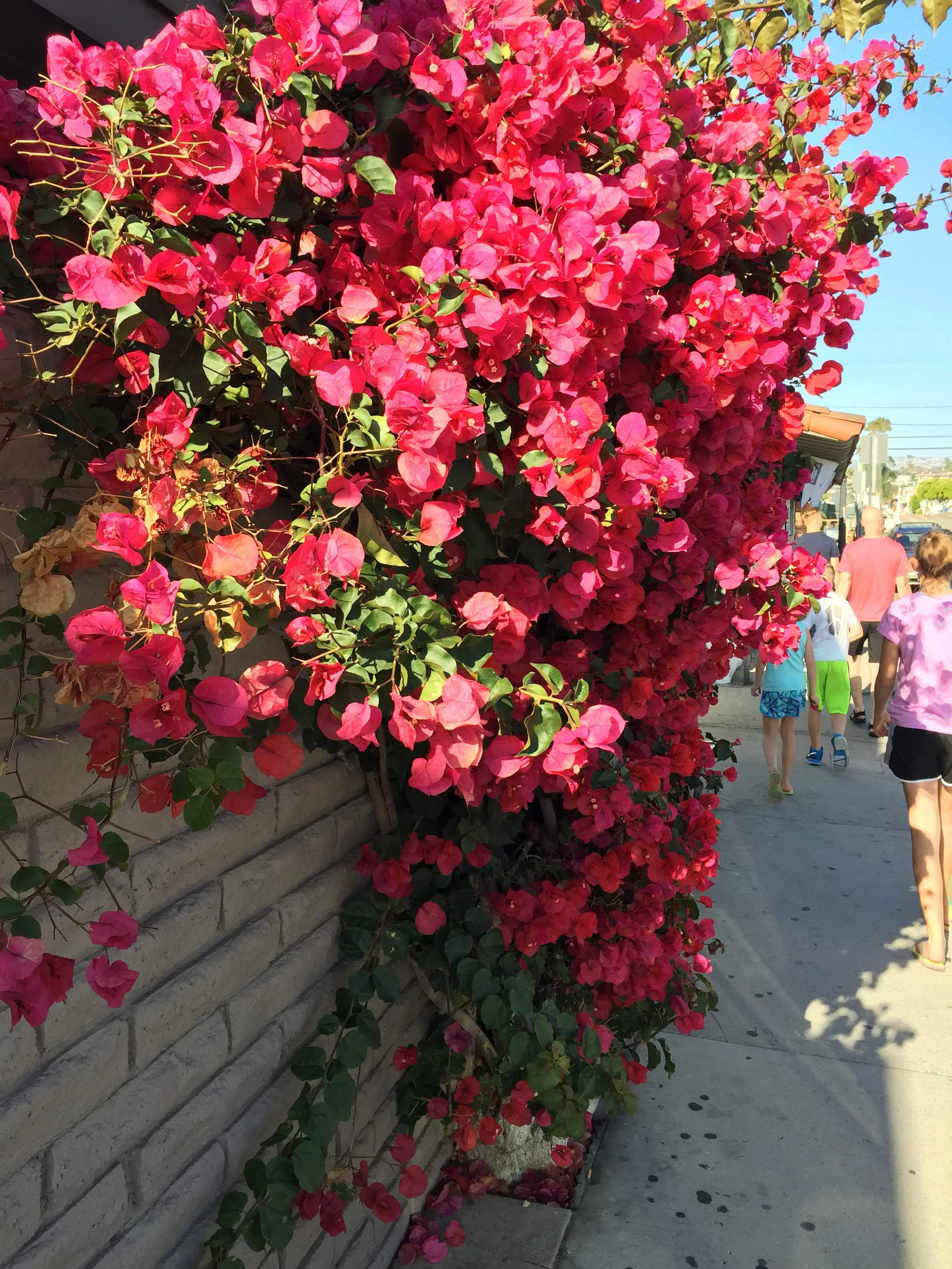 Vacay, Church-planting, a New Book and Email Friends {life updates}