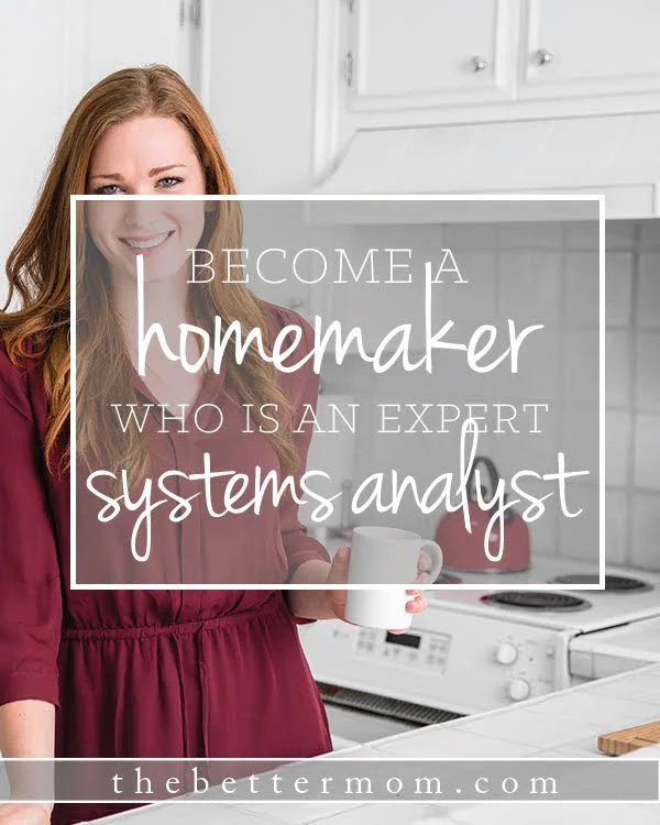 Become A Homemaker Who Is An Expert Systems Analyst