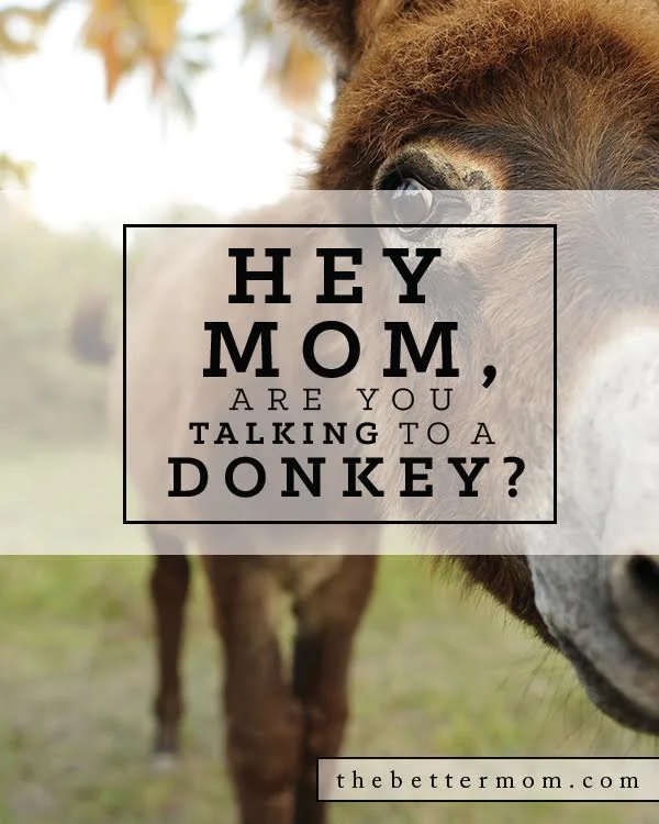 Hey Mom, Are You Talking to a Donkey?