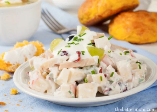 This delightful Turkey, Cranberry & Apple Salad is made using Greek yogurt, which not only gives it a tasty tang, but also a healthy dose of probiotics in every delicious bite!