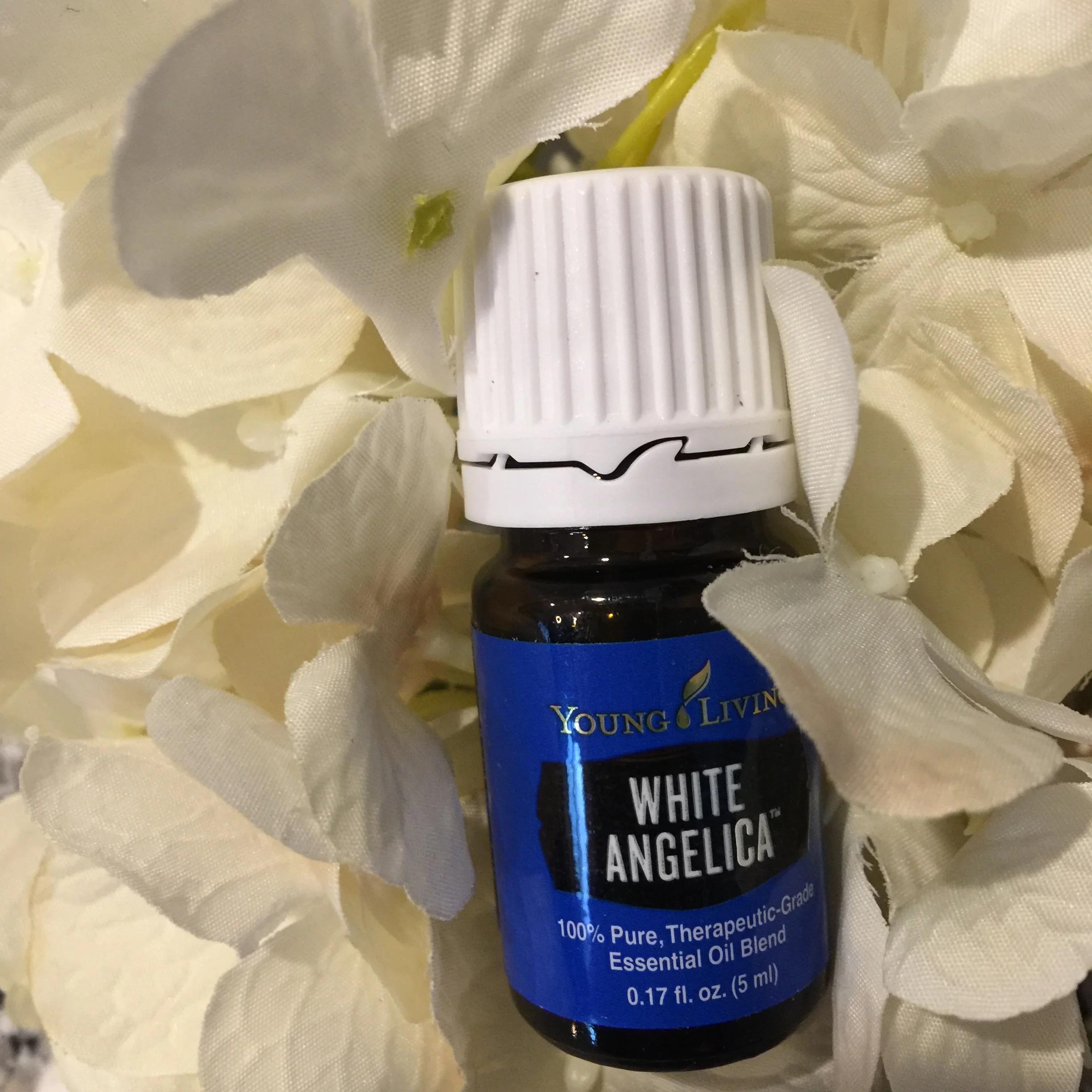 White Angelica.jpg