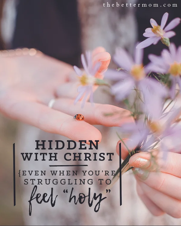 Hidden With Christ {even when you're struggling to feel "holy"}