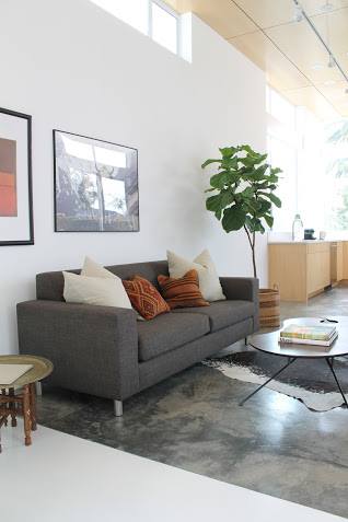 A modern gray sofa anchors the living room. We brought in a fiddle leaf fig tree, a cowhide rug and a cool coffee table with an organic shape. Kilim and linen pillows add warm color.