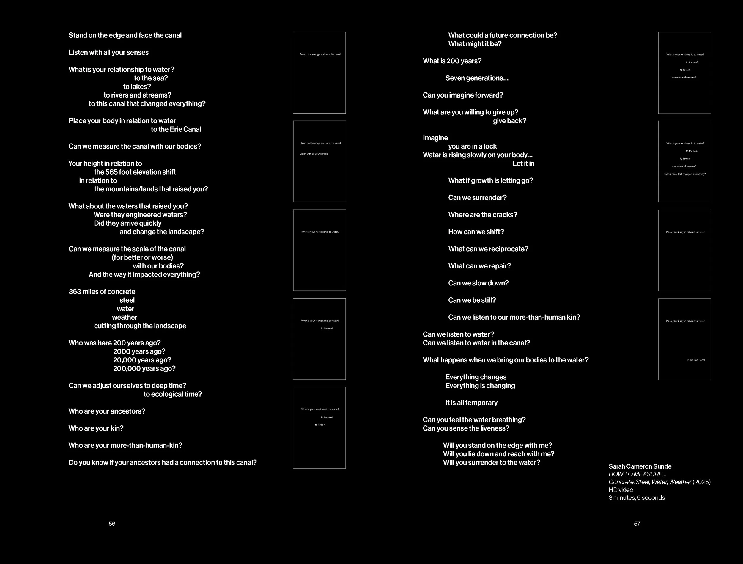 catalog 229.jpg