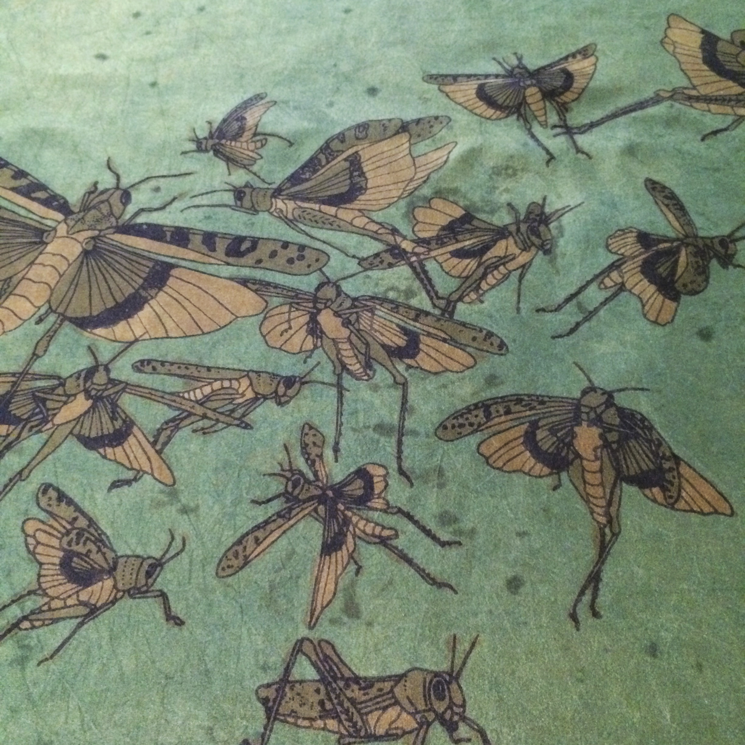 jbourgeois_grasshopper process08.jpg