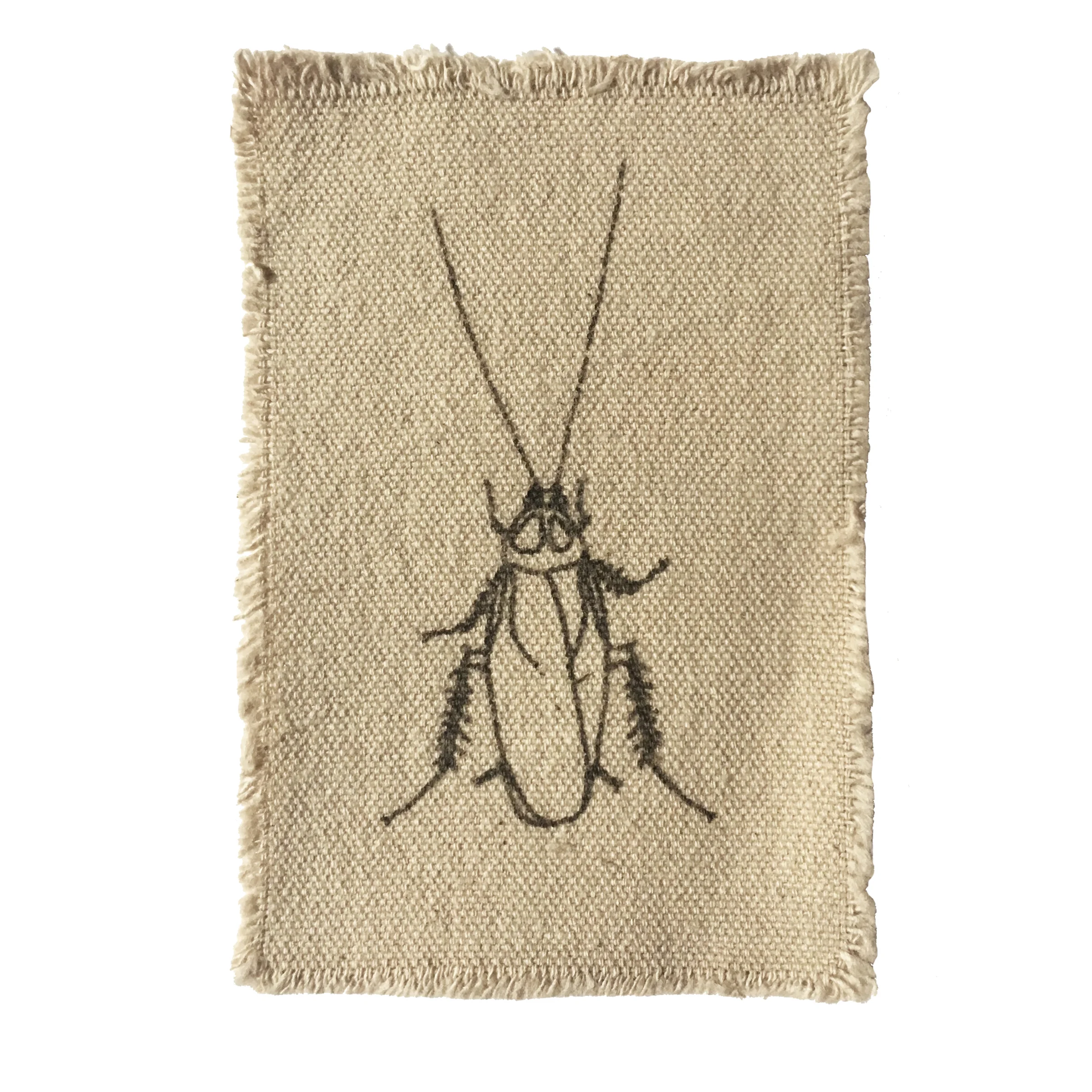 cockroach_natural.jpg