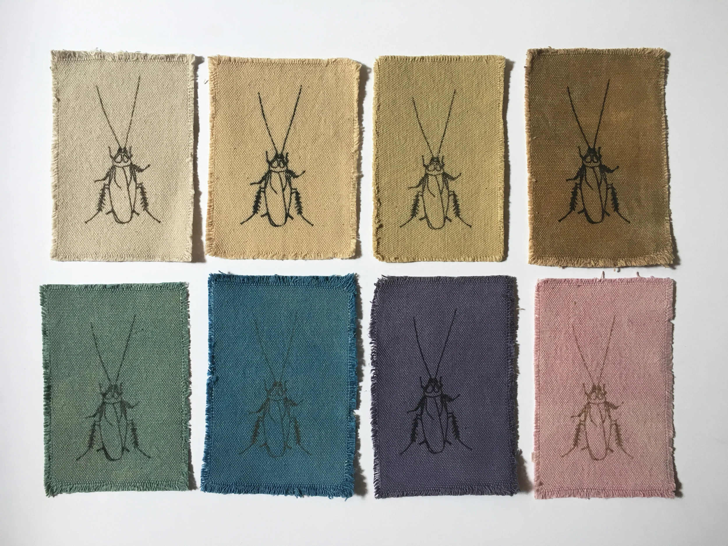 cockroach_patches.jpg