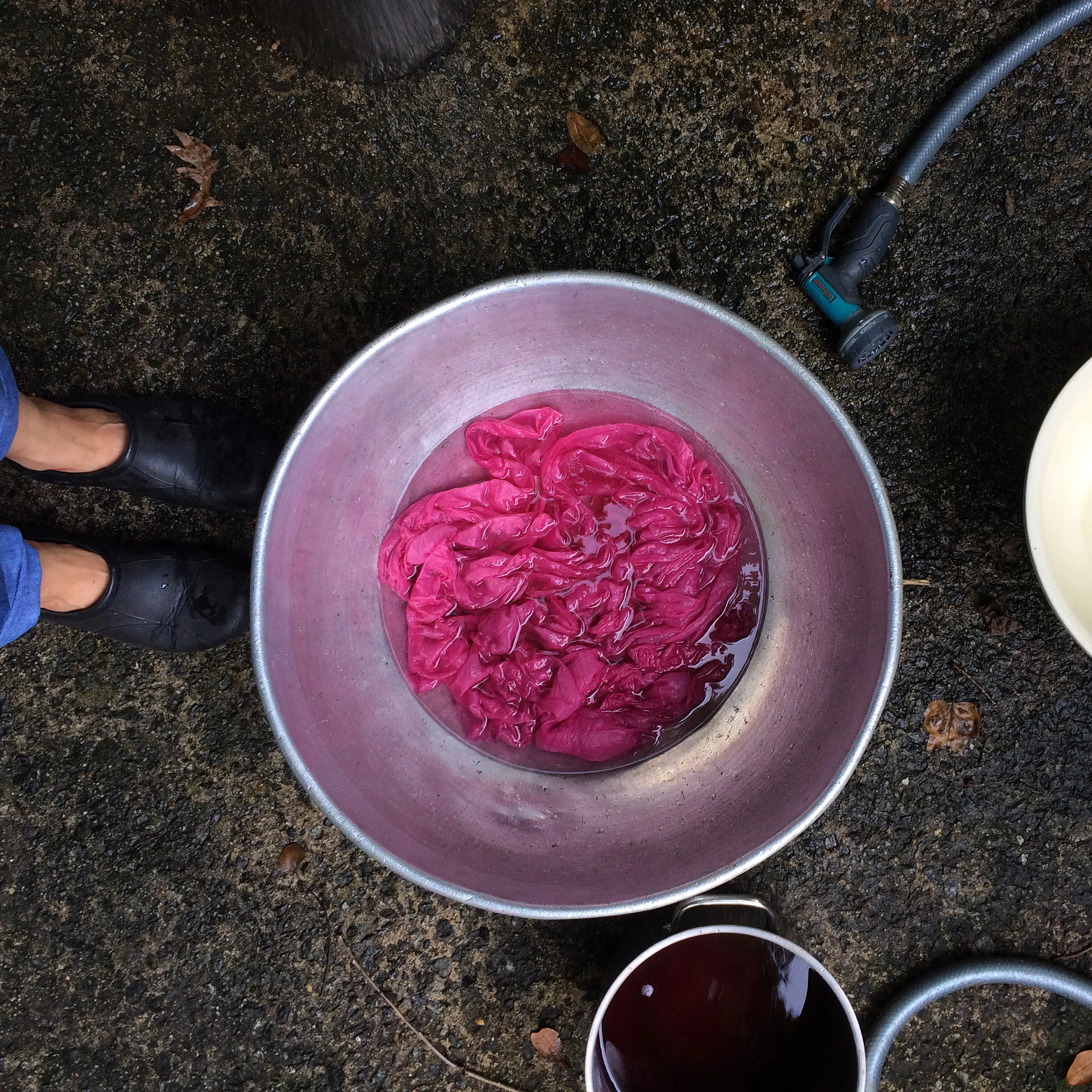 IMG_82173.jpg