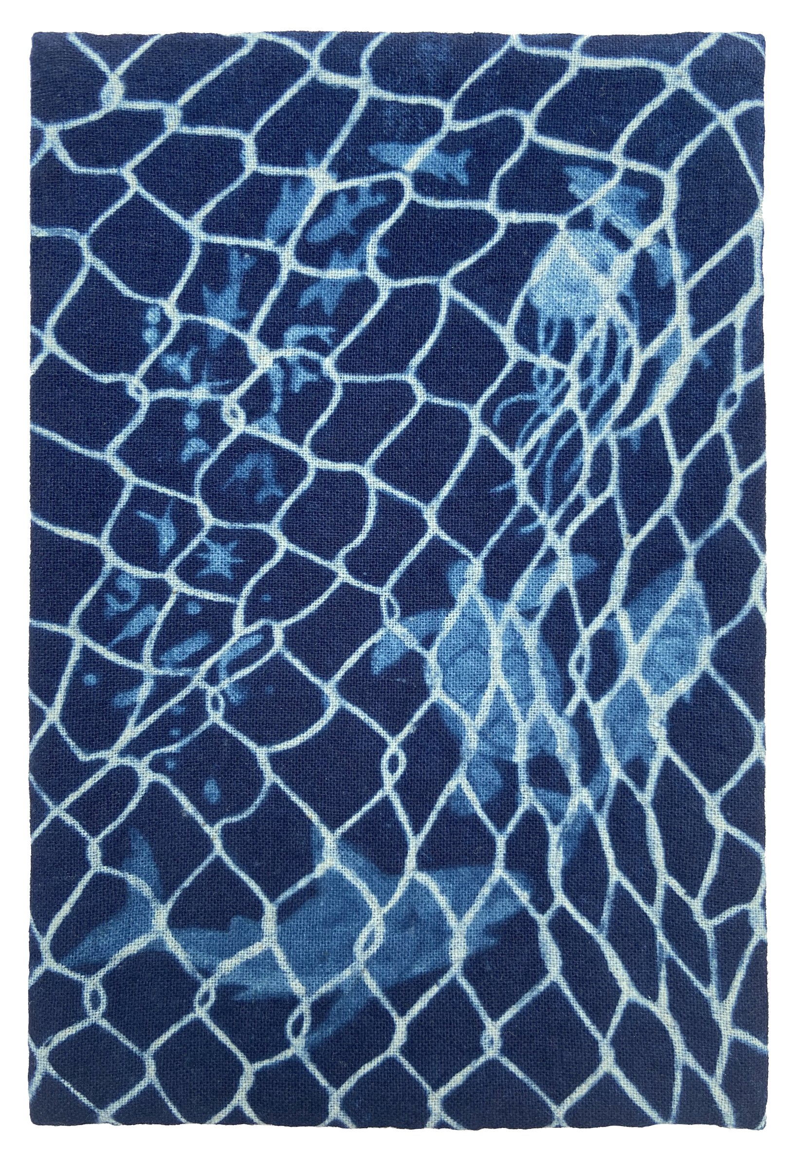 "Fishnet Food Chain," indigo dyed cotton, 6 by 4.25 inches