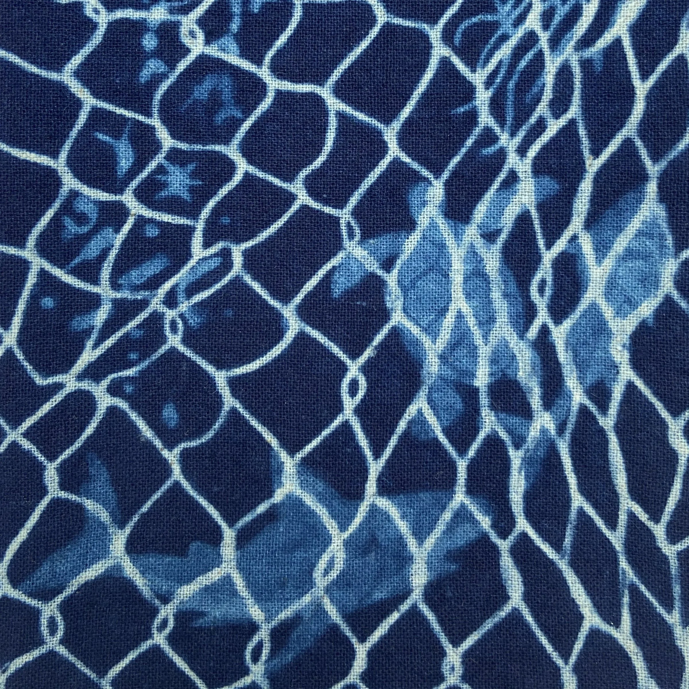 BourgeoisJamie_Fishnet Food Chain_detail 01.jpg