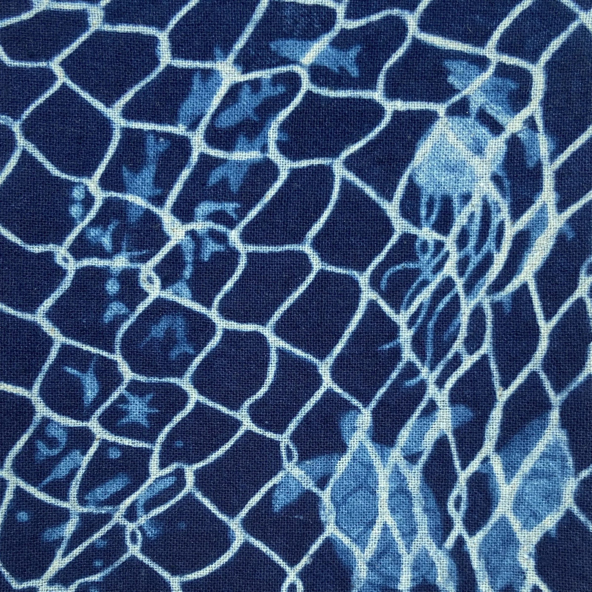 BourgeoisJamie_Fishnet Food Chain_detail 02.jpg