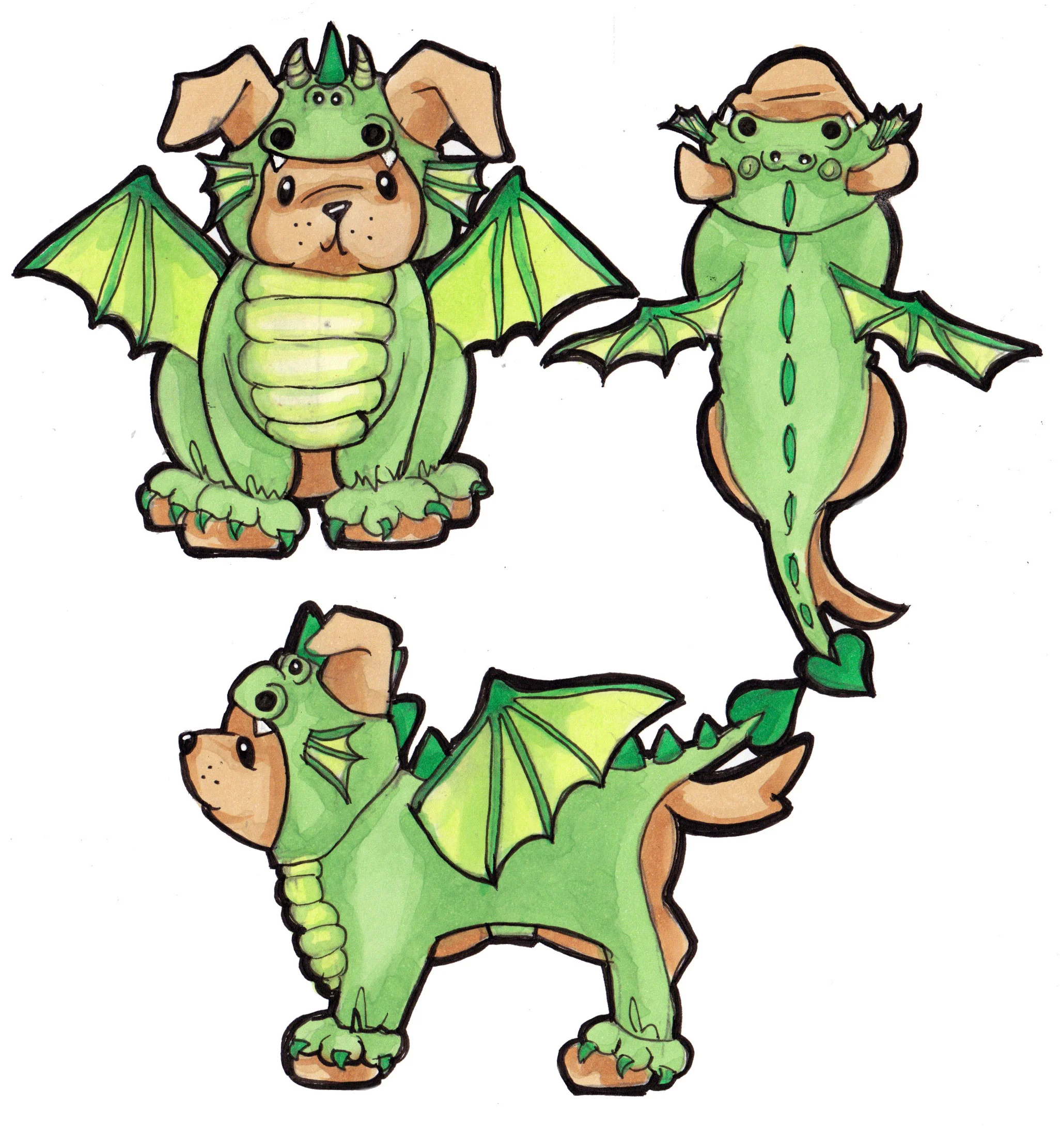 dragondog.jpg