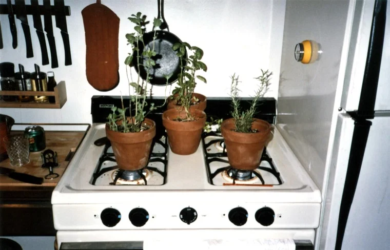 brooklyn_vignette_2009.jpg