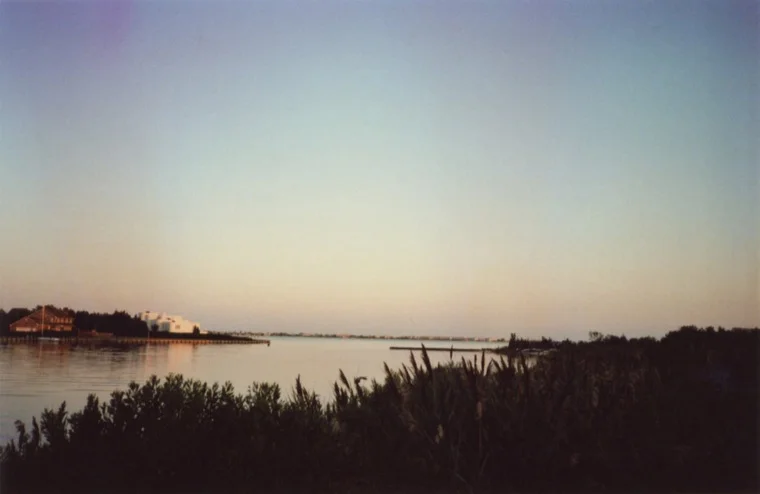 long_island_2012.jpg