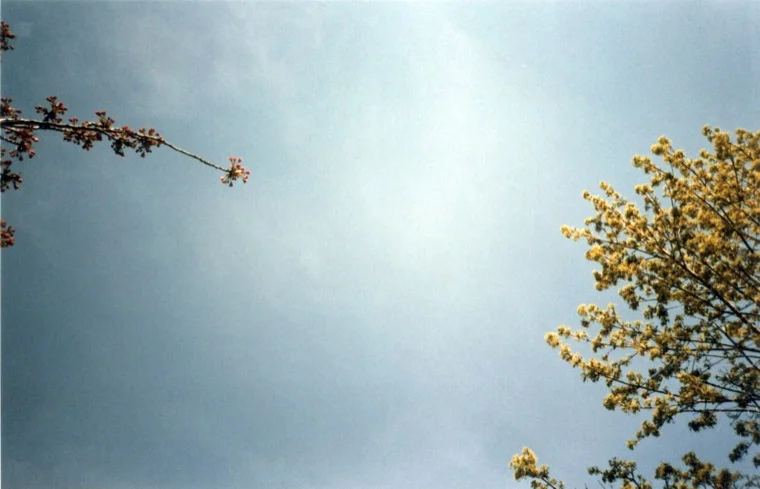 touch_2012.jpg