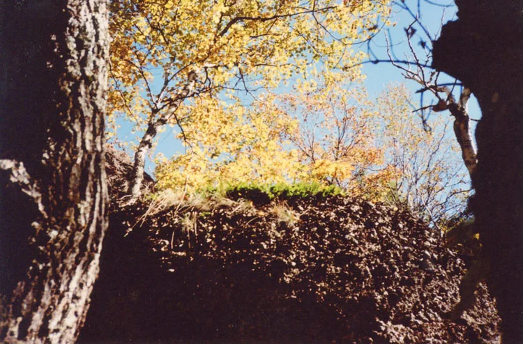 golden-large.jpg