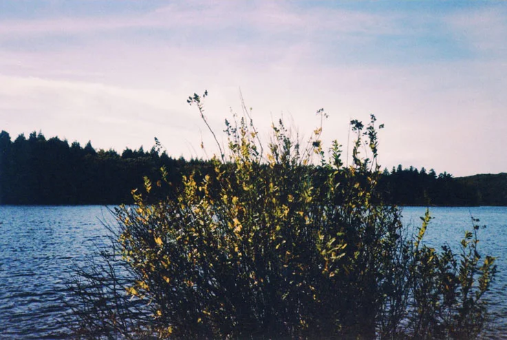 reaching-large.jpg