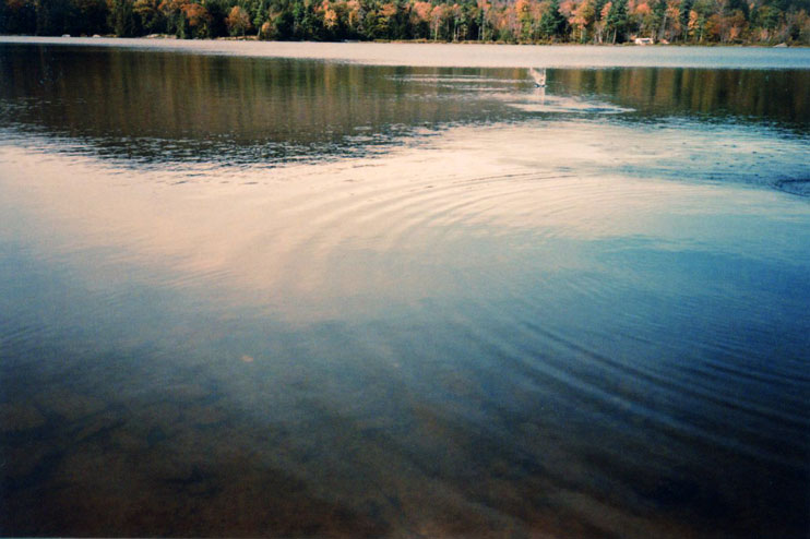 splashzone-large.jpg