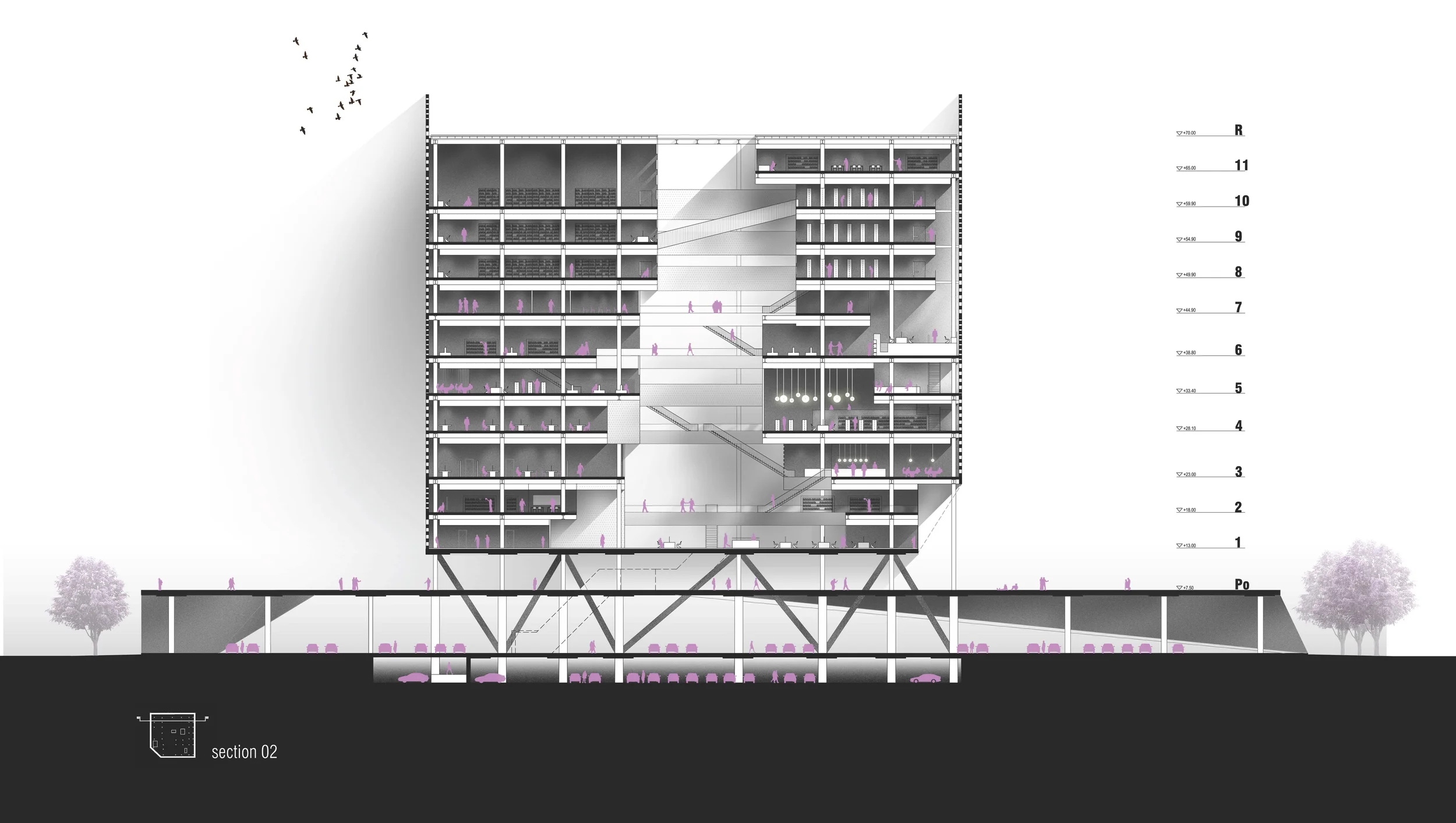 08 section 02.jpg