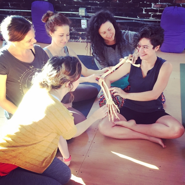 Students in the 2015/2016 program learn about the appendicular skeleton