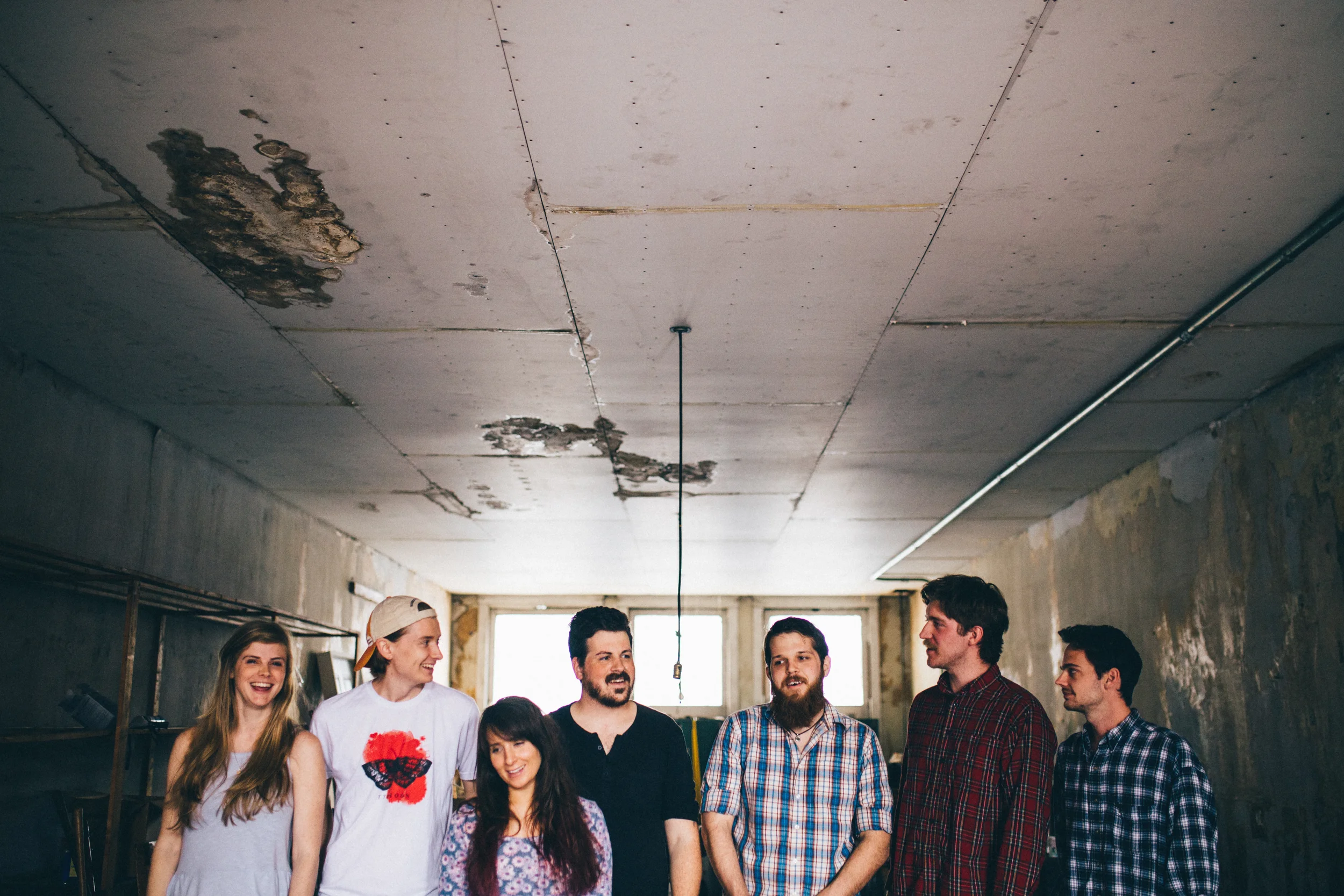 The Collection @ The Harmonium Project  (Copy)