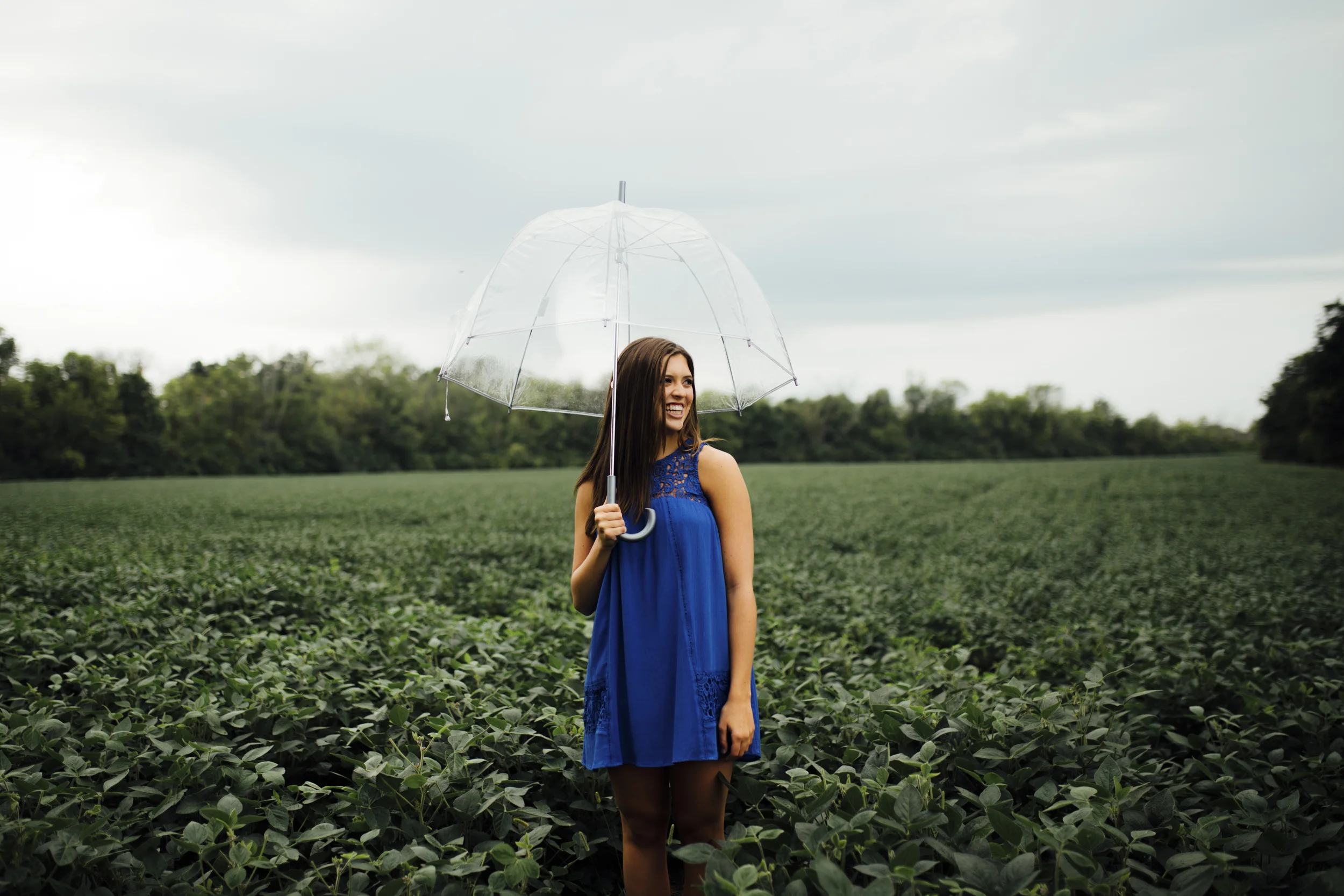 A woman in a blue dress standing in a green field holding a clear umbrella on a cloudy day.