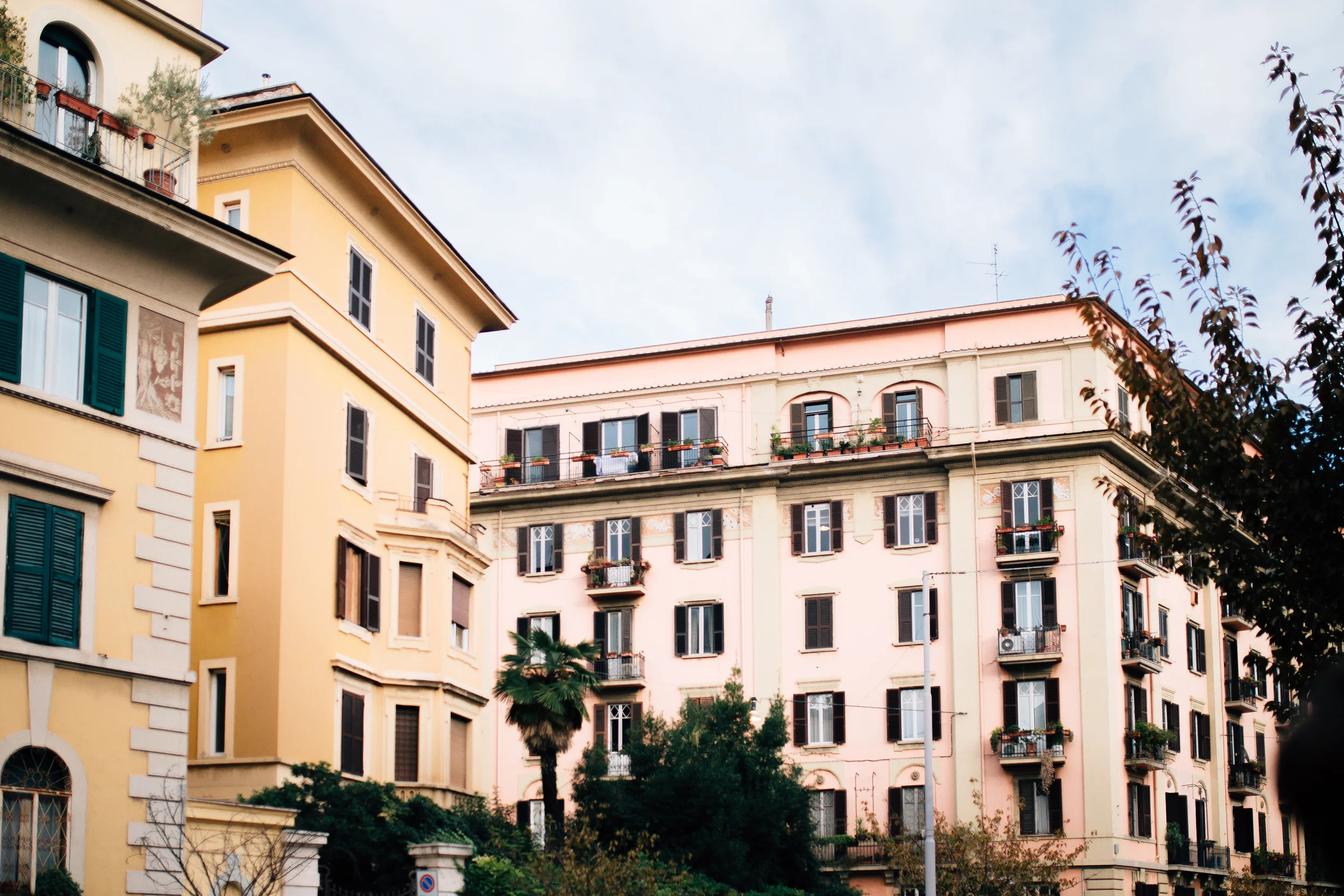 000-5.jpg