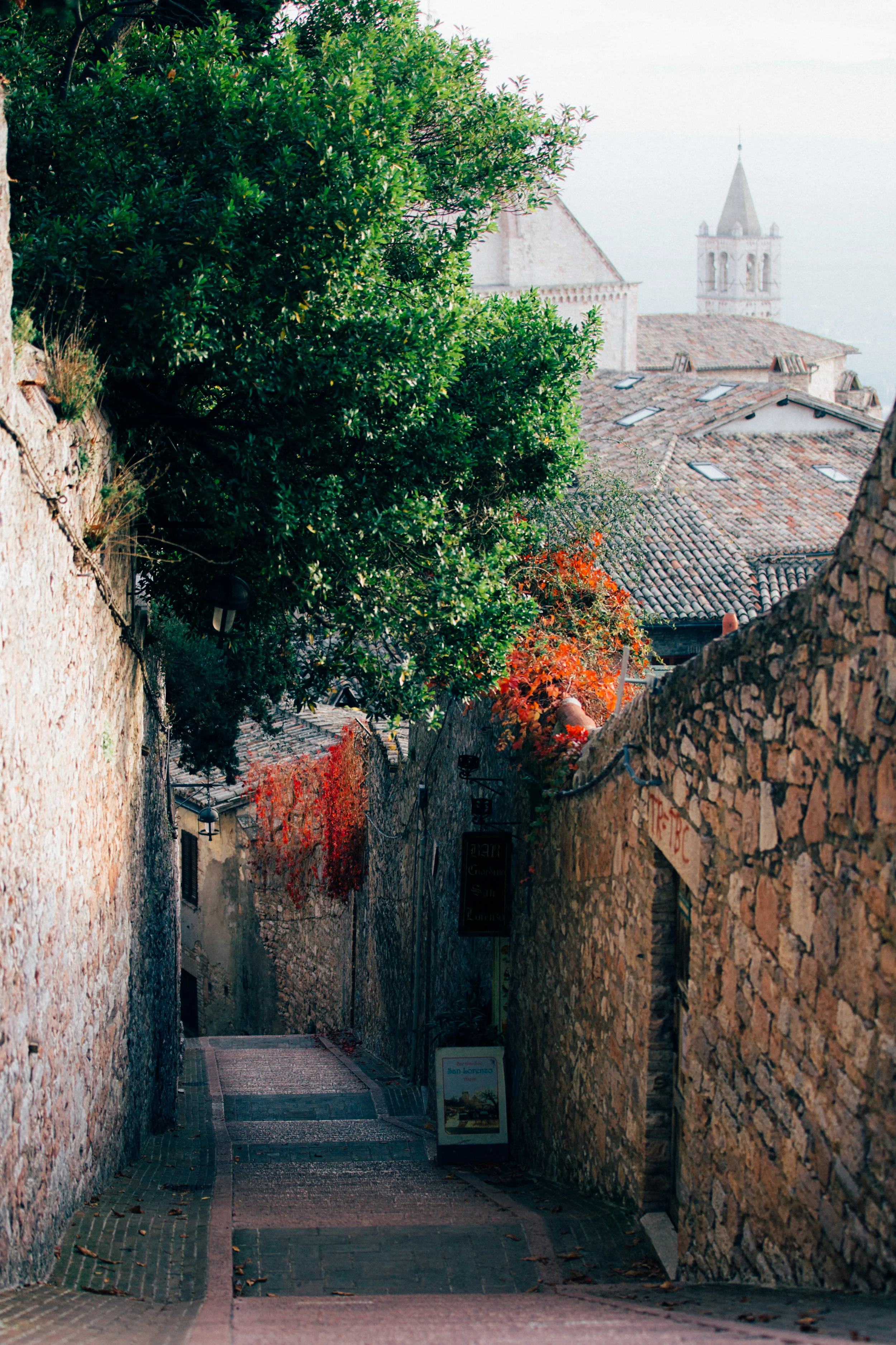 Assisi || The Dynamic Catholic Institute Italy pilgrimage 