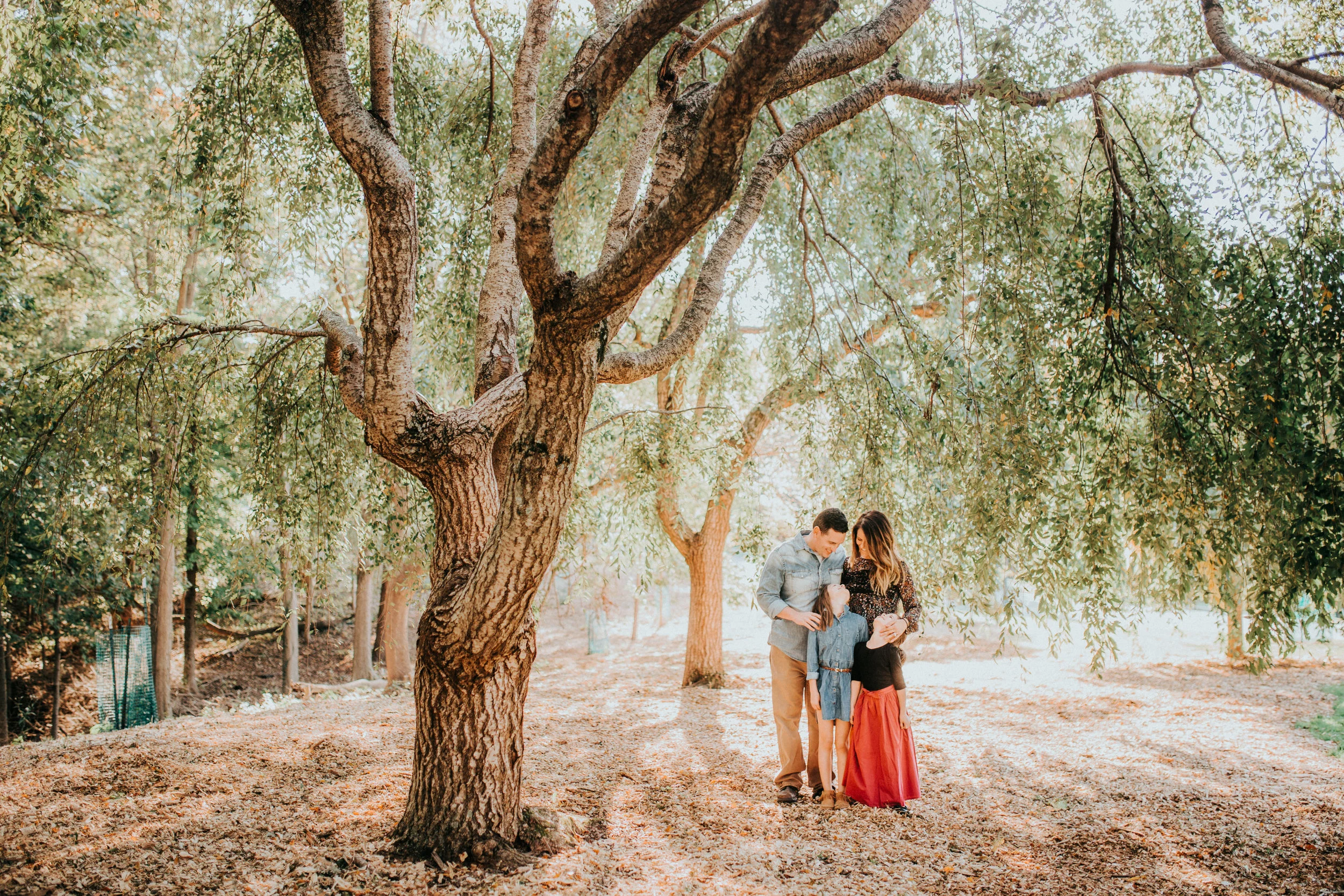 The Werden Family - Ault Park Photo Session