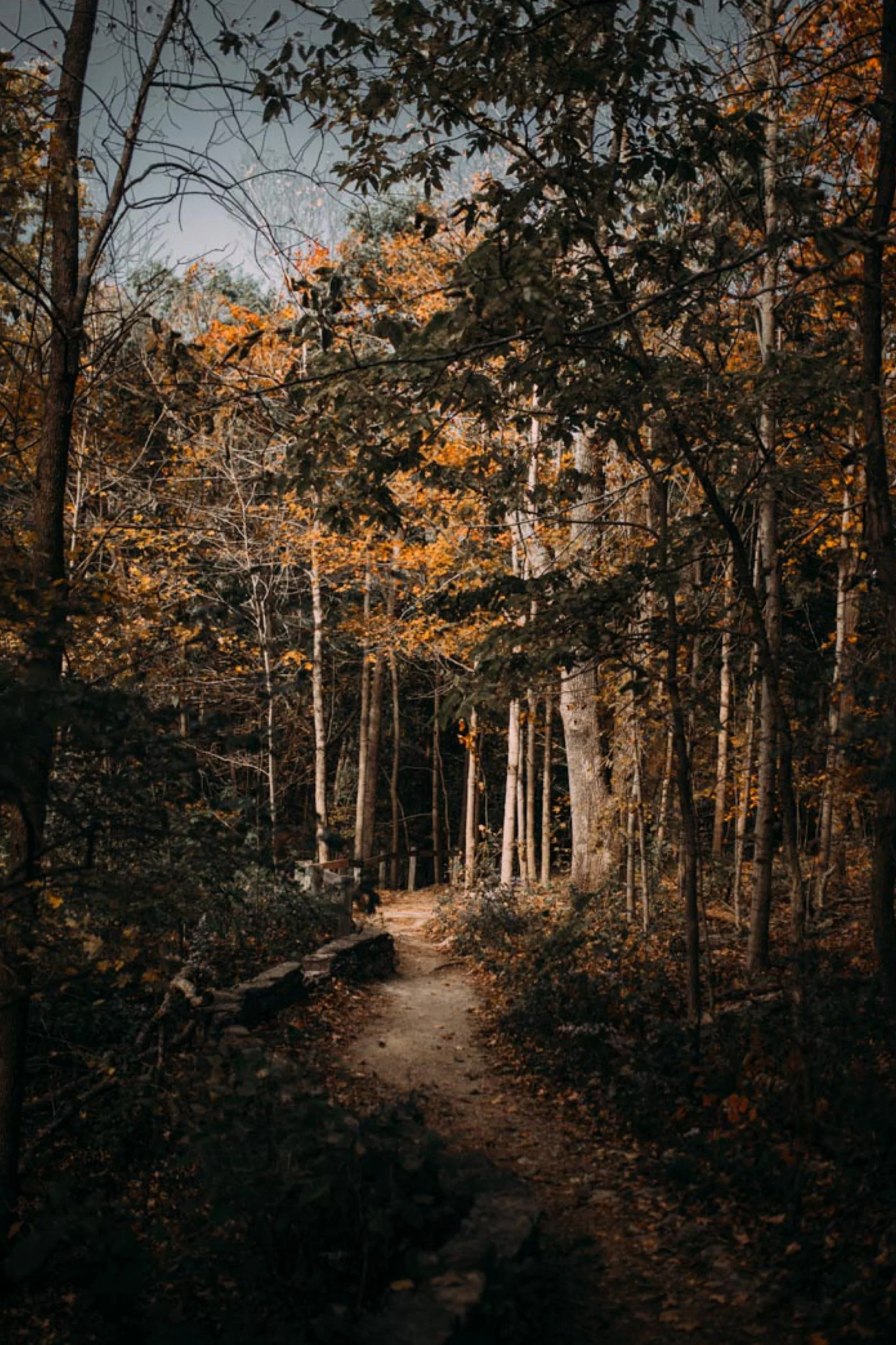 Clifton Mill, OH