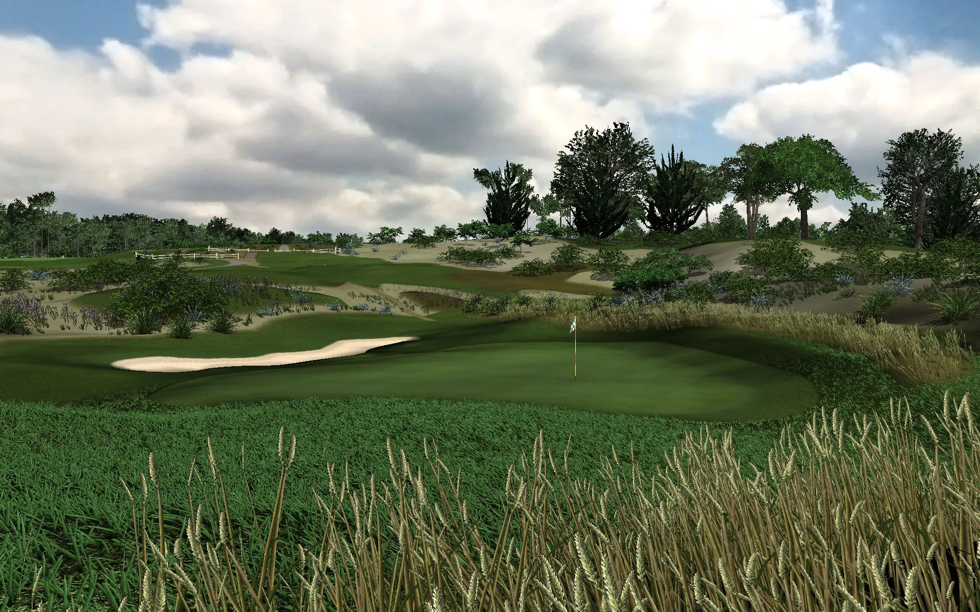 Realistic graphics