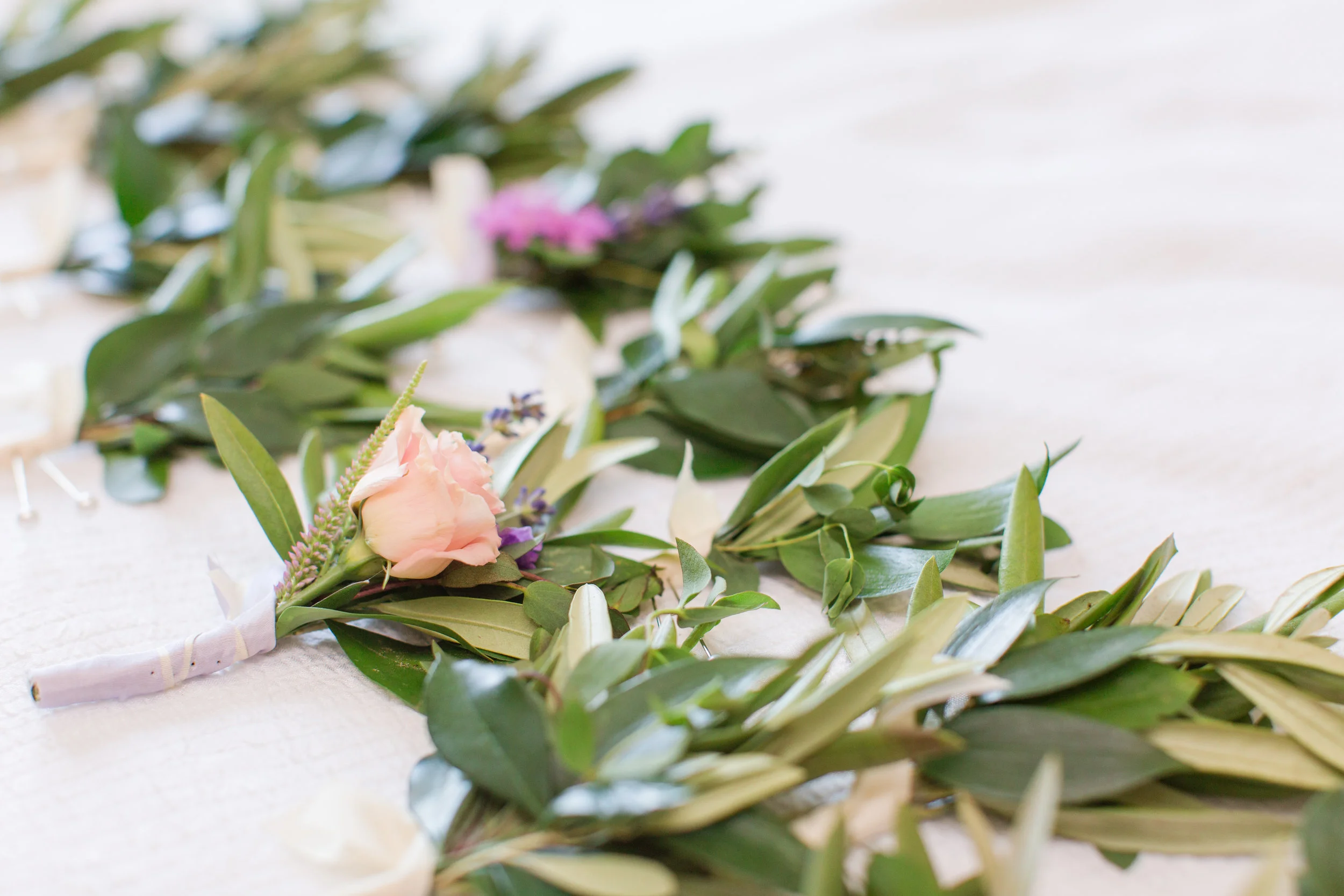 Casendino_0128_9V9A7952.jpg