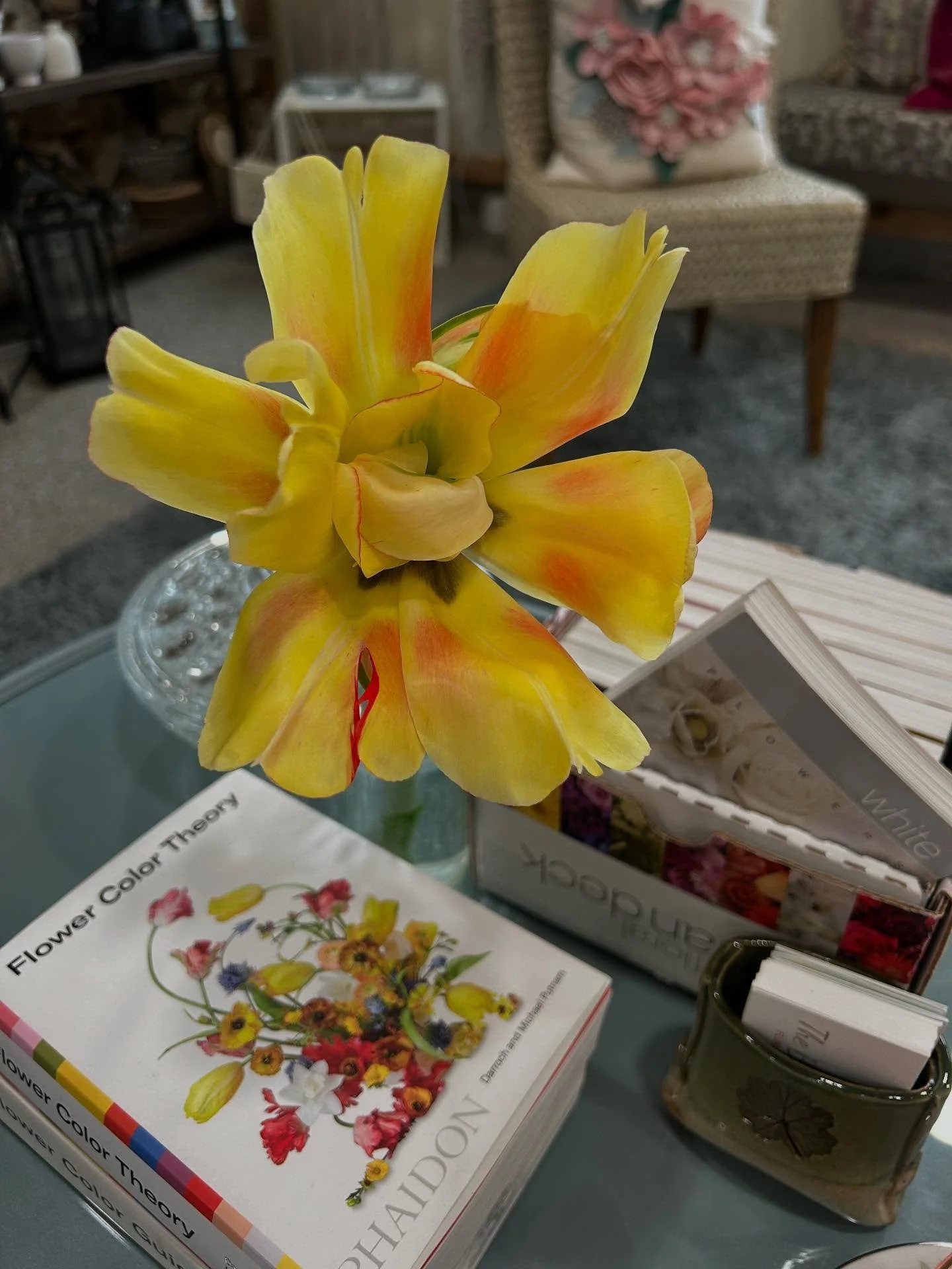 A locally grown, show stopping tulip and Putnam &amp; Putnam&rsquo;s Flower Color Theory &amp; Guide books&hellip; the most perfect simple things sitting on my studio coffee table.
.
.
@lynnberry763 
@phaidonpress 
.
.
#localflowers #tulips #supportl