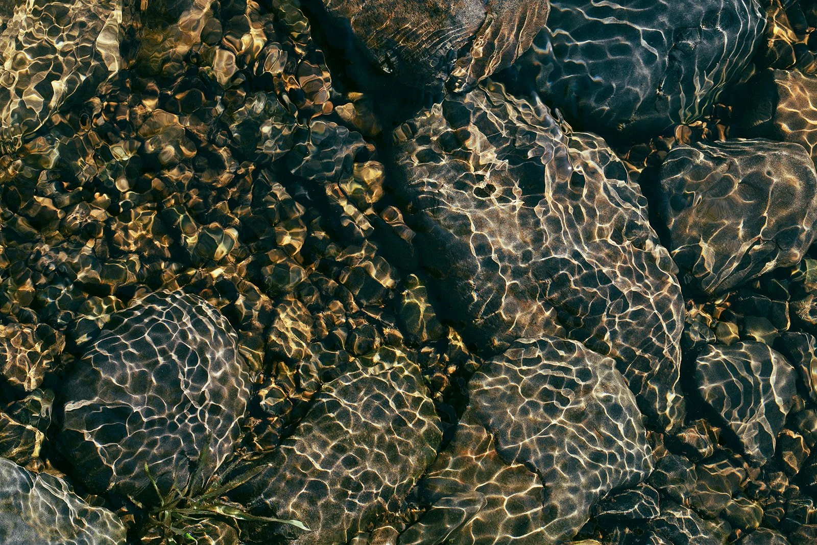 Short Sands Beach-93.jpg