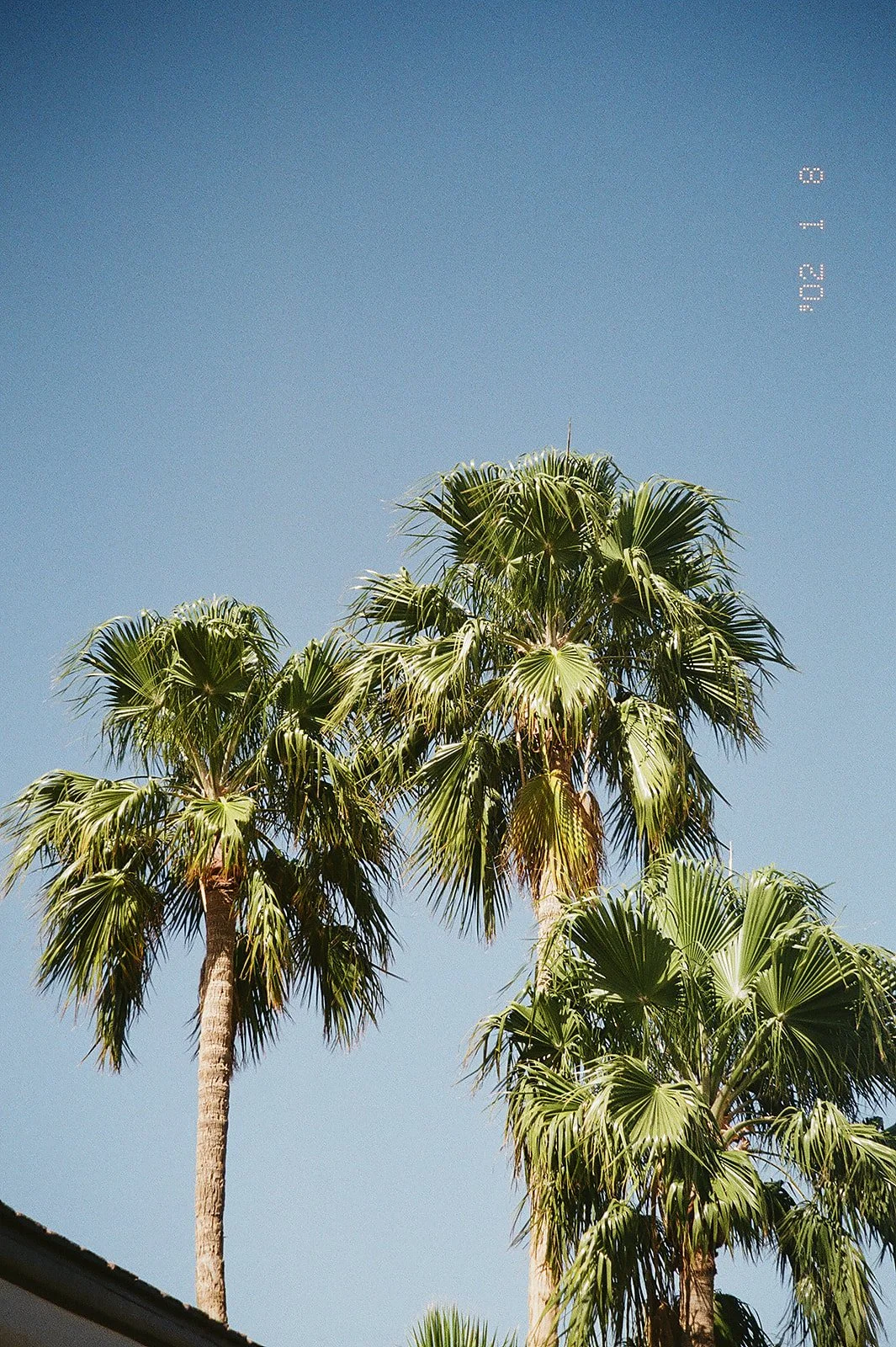 L+B FIlm-9.jpg