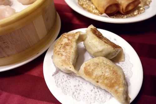 Pan Fried Chicken Dumplings