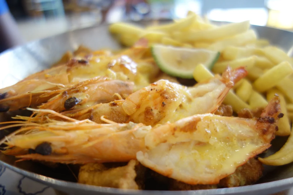 Ocean Basket The OneEyed Man in the Land of the BlindBlog