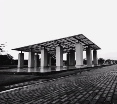 GIF image-A24021853567-1.gif