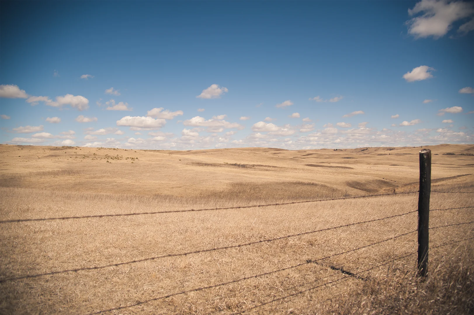  Naper, Nebraska. 2015 