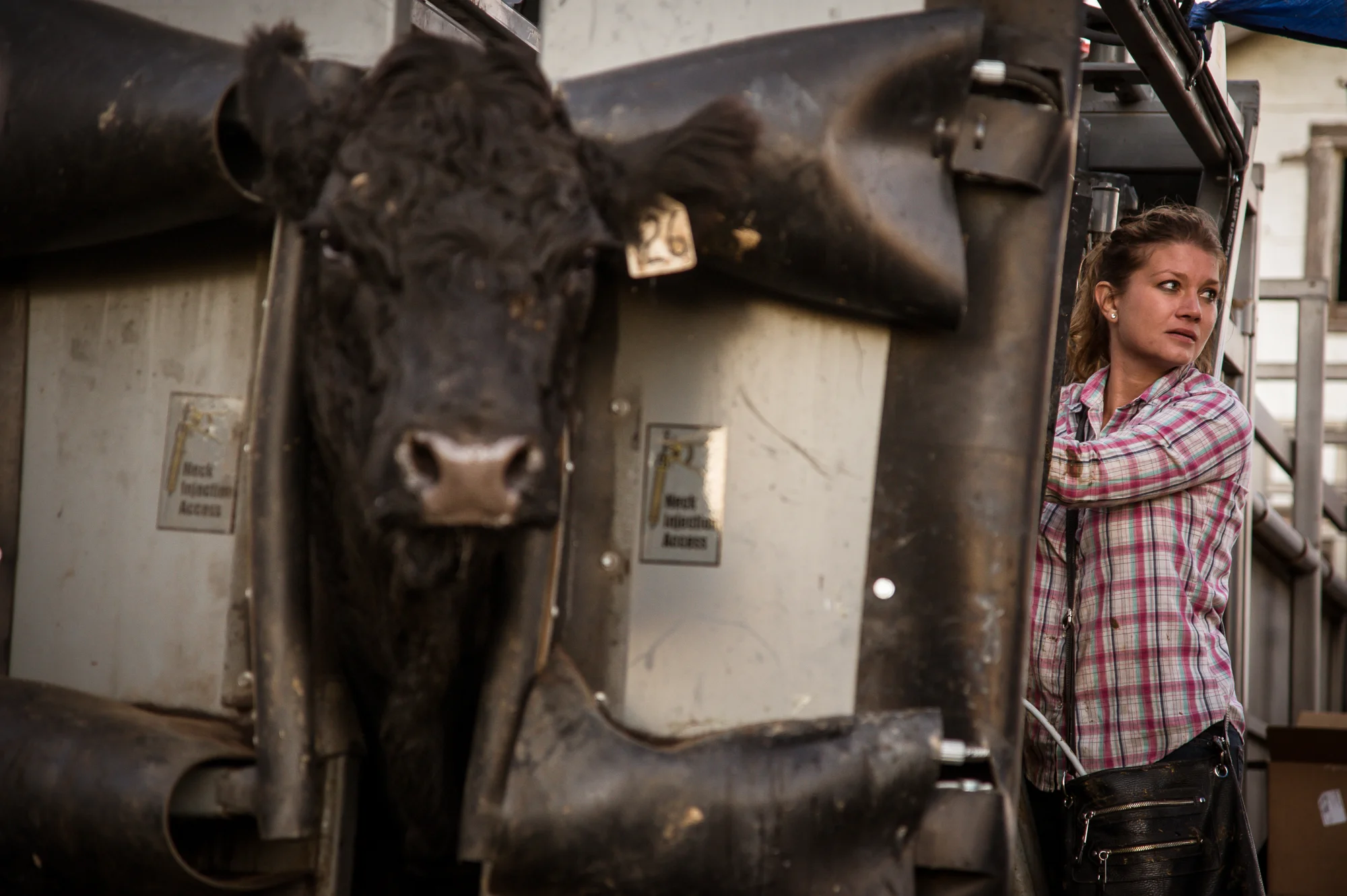  "I thought I broke my arm last week working cattle," Tracy said. "I knew I couldn't even afford to see the doctor, let alone treat it. Luckily, it is healing. We can't afford to be without it in the line of work but can't afford the insurance rates 